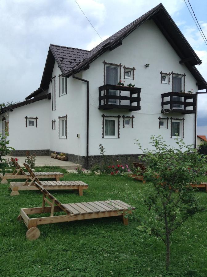Elder Villa Bran  Bagian luar foto