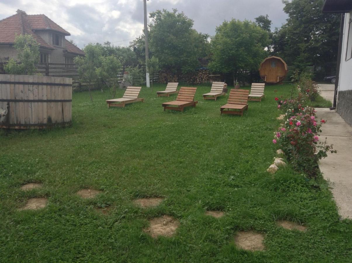 Elder Villa Bran  Bagian luar foto