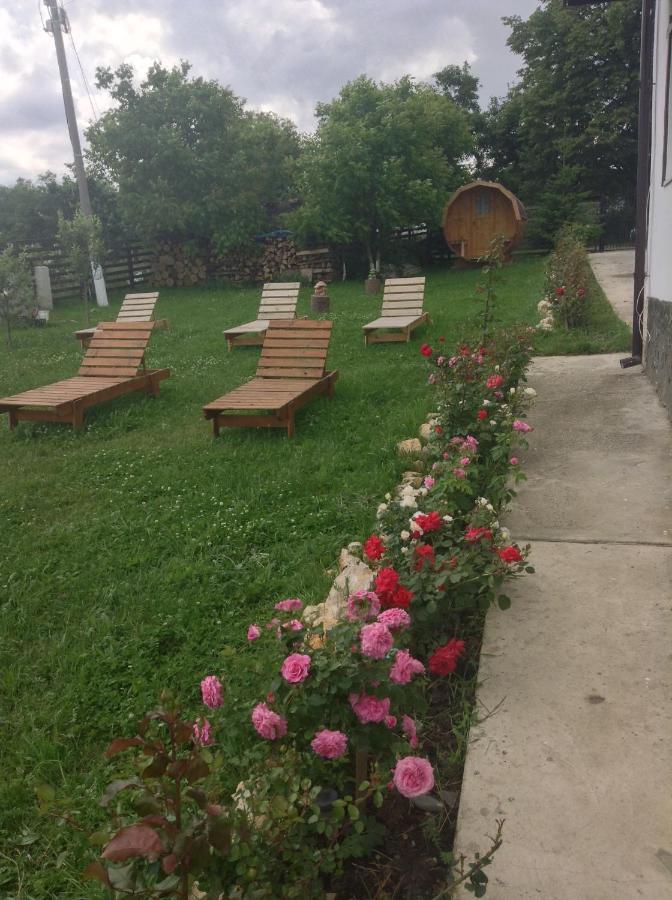 Elder Villa Bran  Bagian luar foto