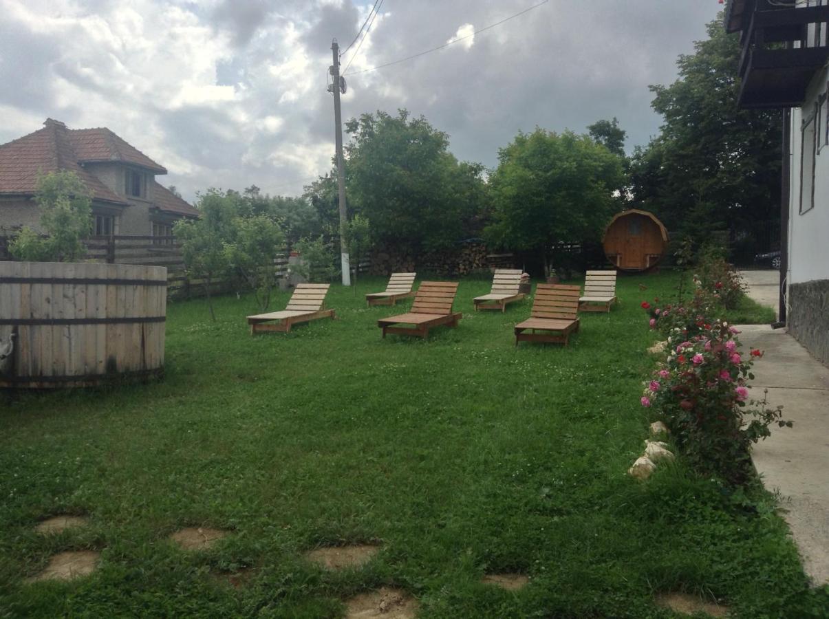 Elder Villa Bran  Bagian luar foto