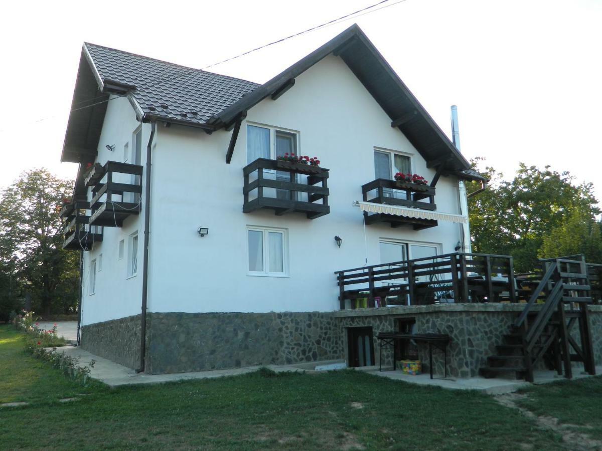 Elder Villa Bran  Bagian luar foto