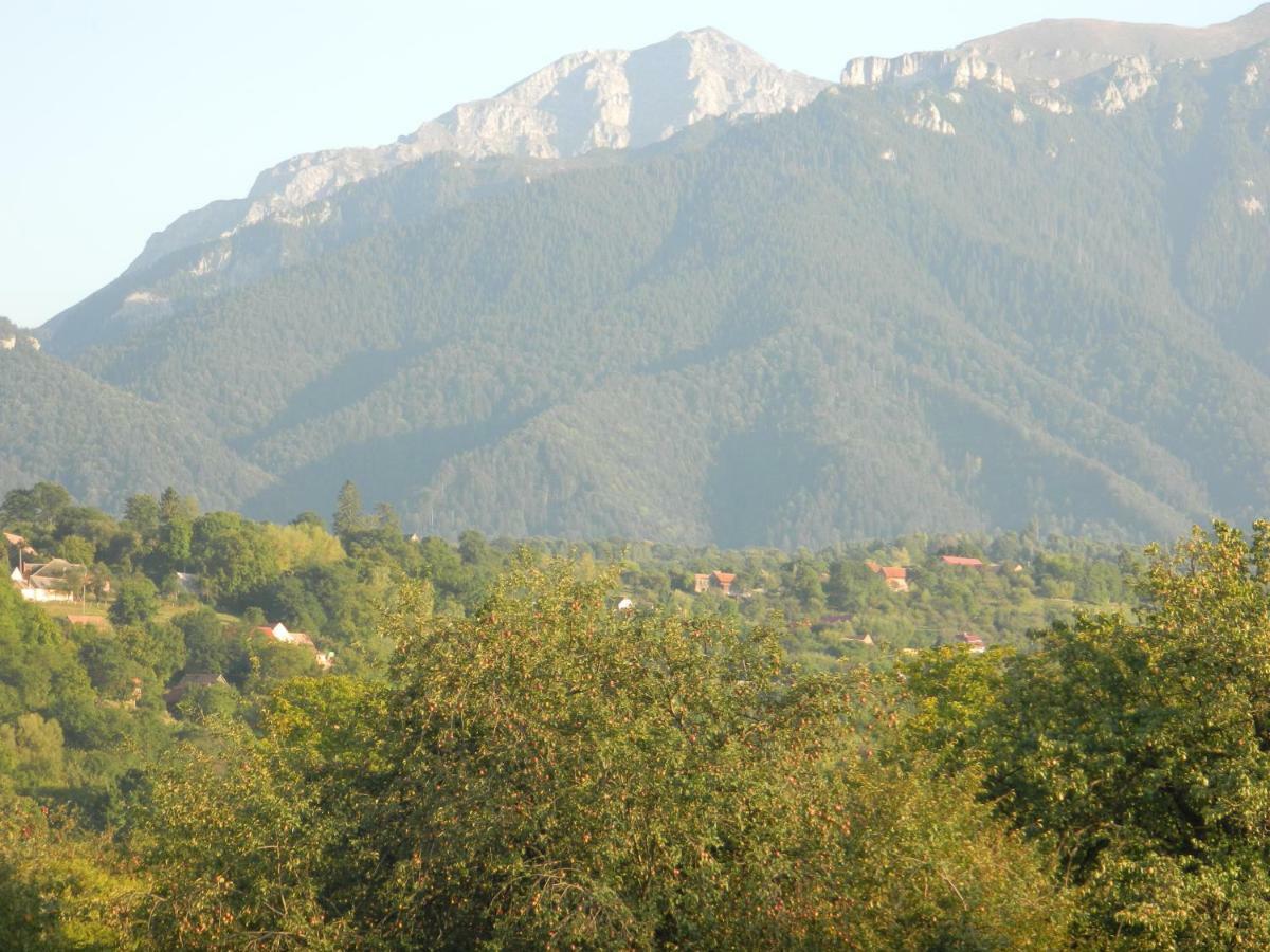 Elder Villa Bran  Bagian luar foto